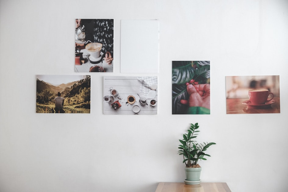 Insights into Lifestyle Blogging